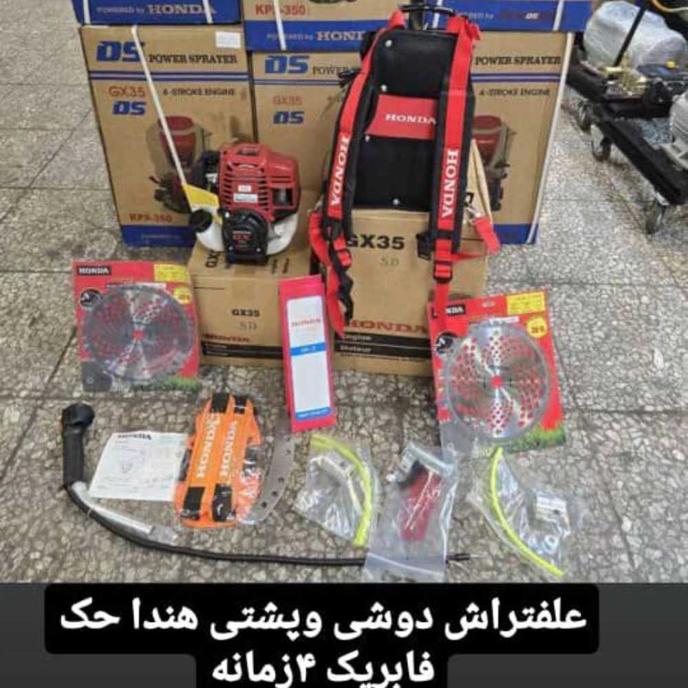 1743068738068.webp